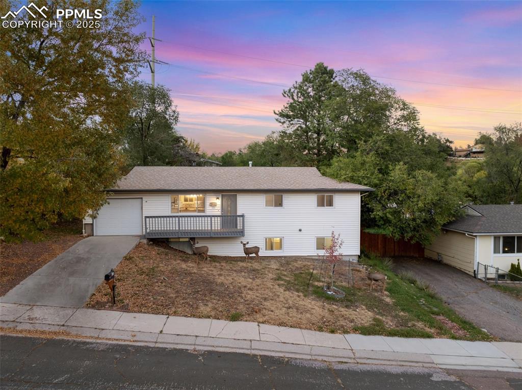 2518 Royalty Court Colorado Springs, CO 80904 - Photo 1 of 47 a house that has a tree in front of it