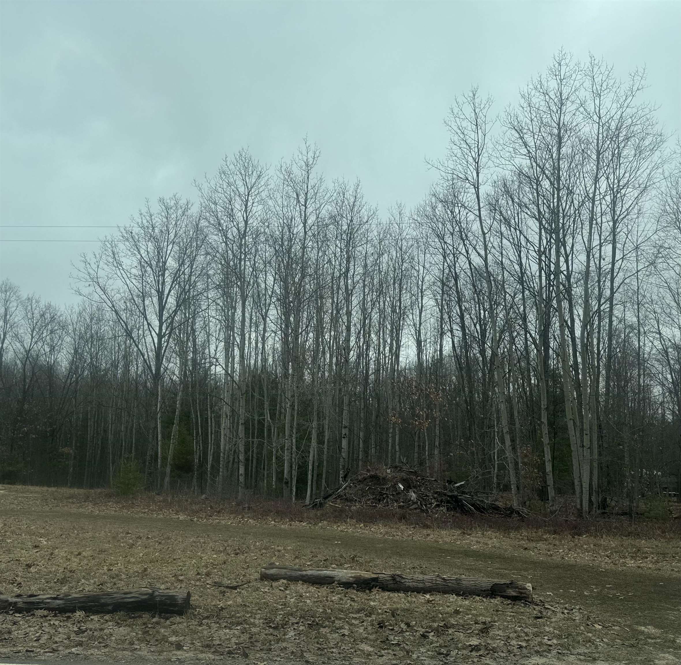 7620 Monroe Road Lake, MI 48632 - Photo 9 of 9