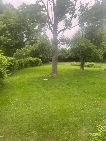 a view of a park with large trees