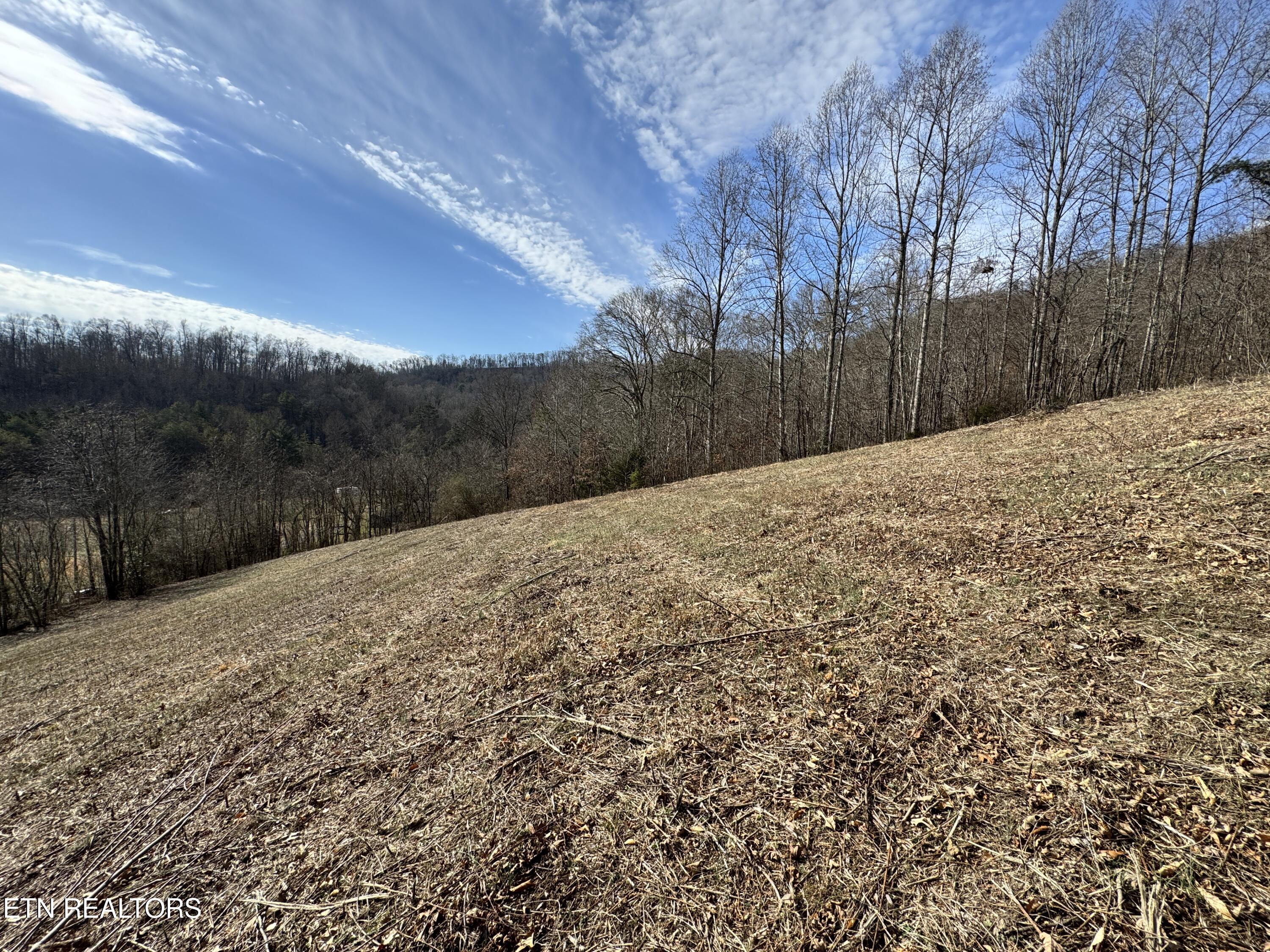 1135 Ned Clark Road Bean Station, TN 37708 - Photo 12 of 29 1135 Ned Clark Rd Bean Station, TN