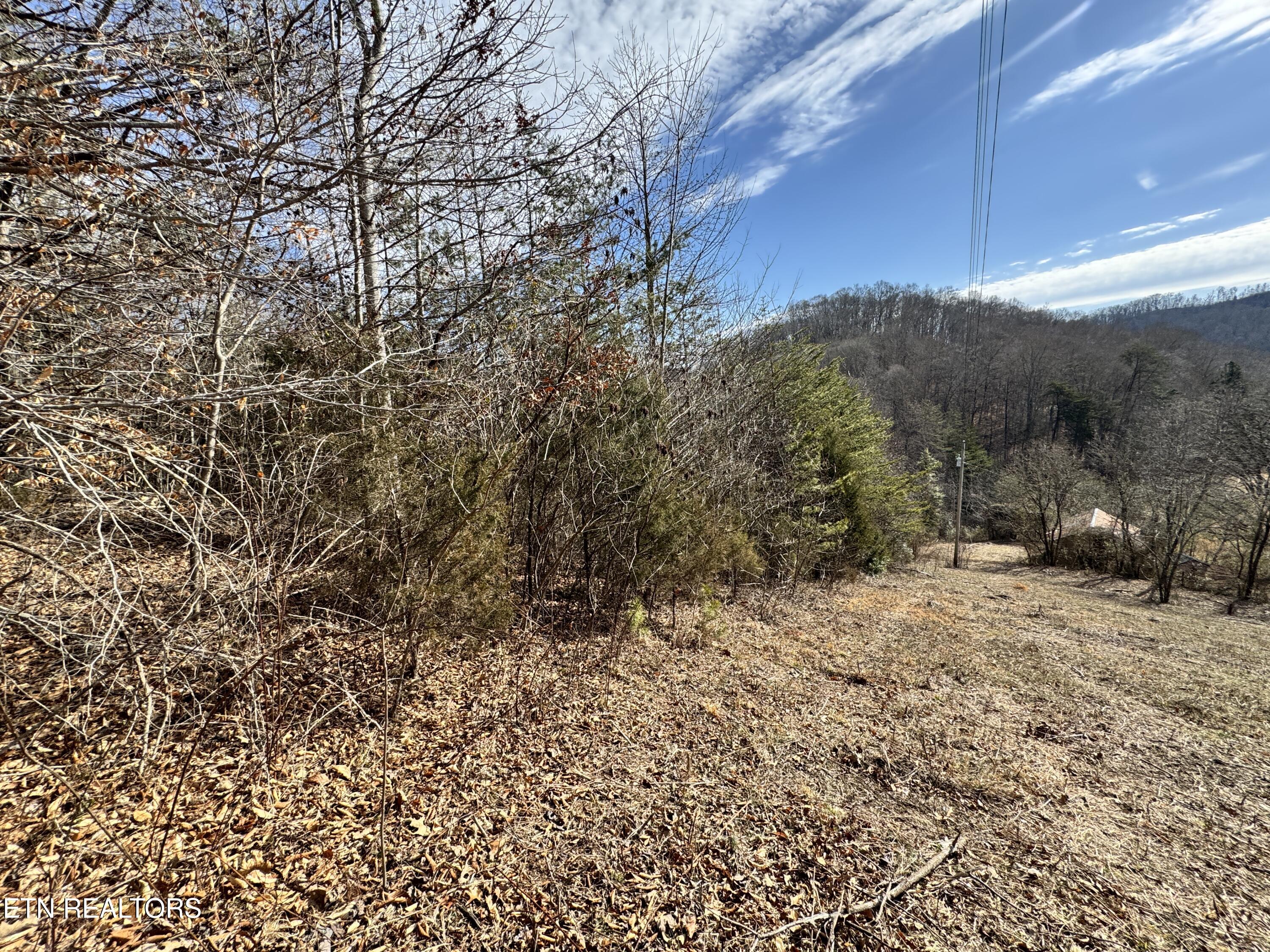 1135 Ned Clark Road Bean Station, TN 37708 - Photo 13 of 29 1135 Ned Clark Rd Bean Station, TN