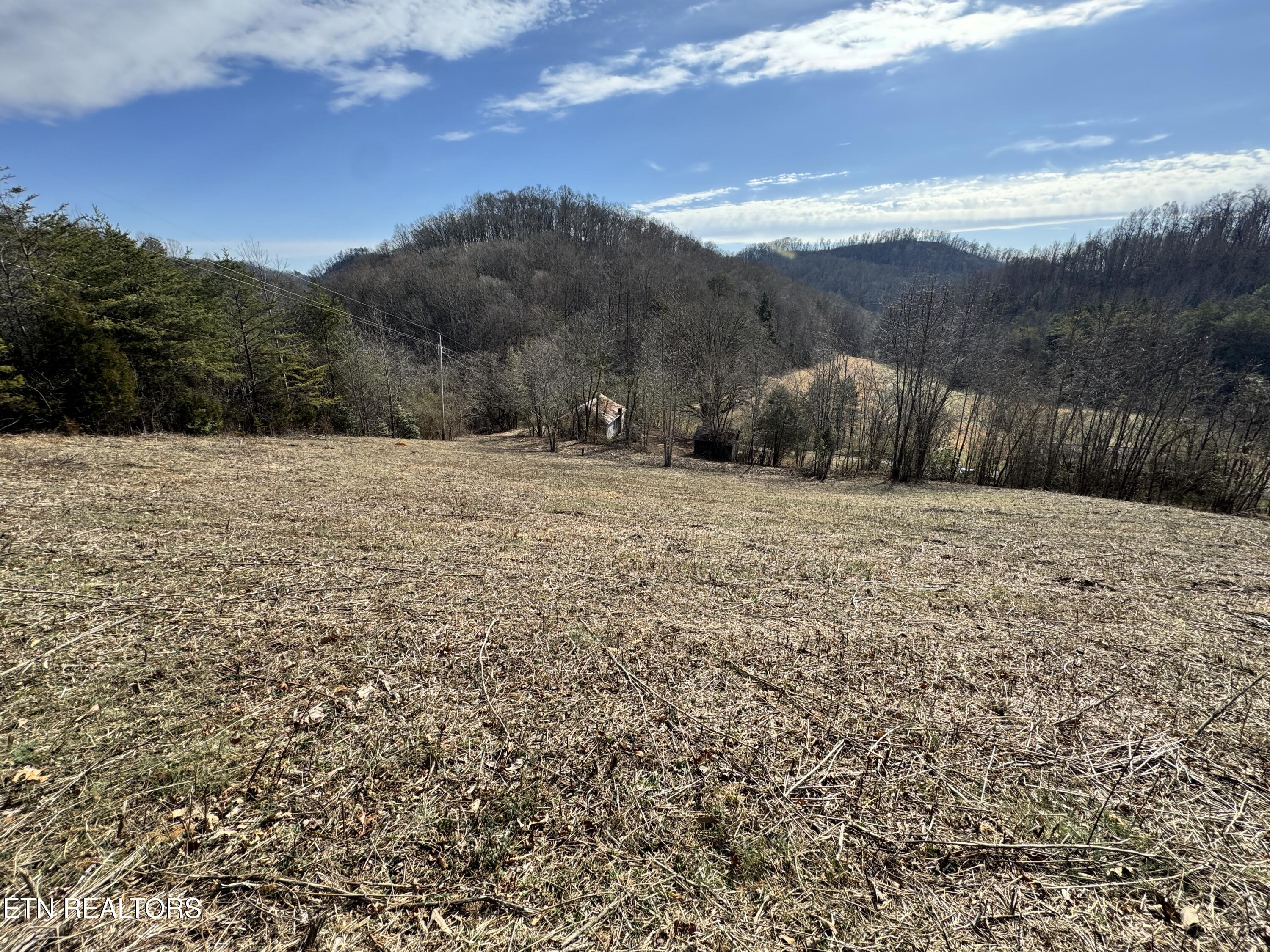 1135 Ned Clark Road Bean Station, TN 37708 - Photo 14 of 29 1135 Ned Clark Rd Bean Station, TN