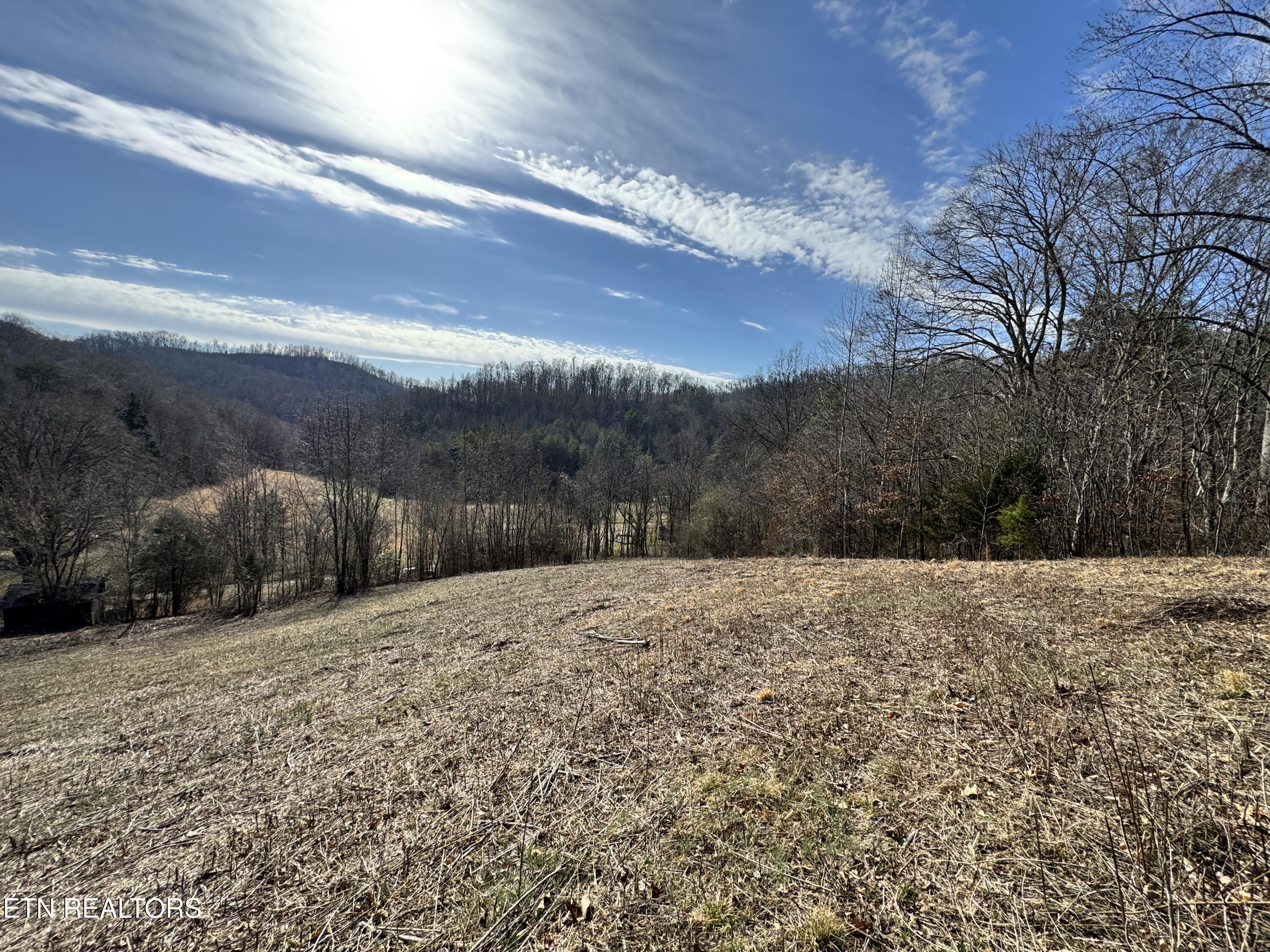 1135 Ned Clark Road Bean Station, TN 37708 - Photo 15 of 29 1135 Ned Clark Rd Bean Station, TN