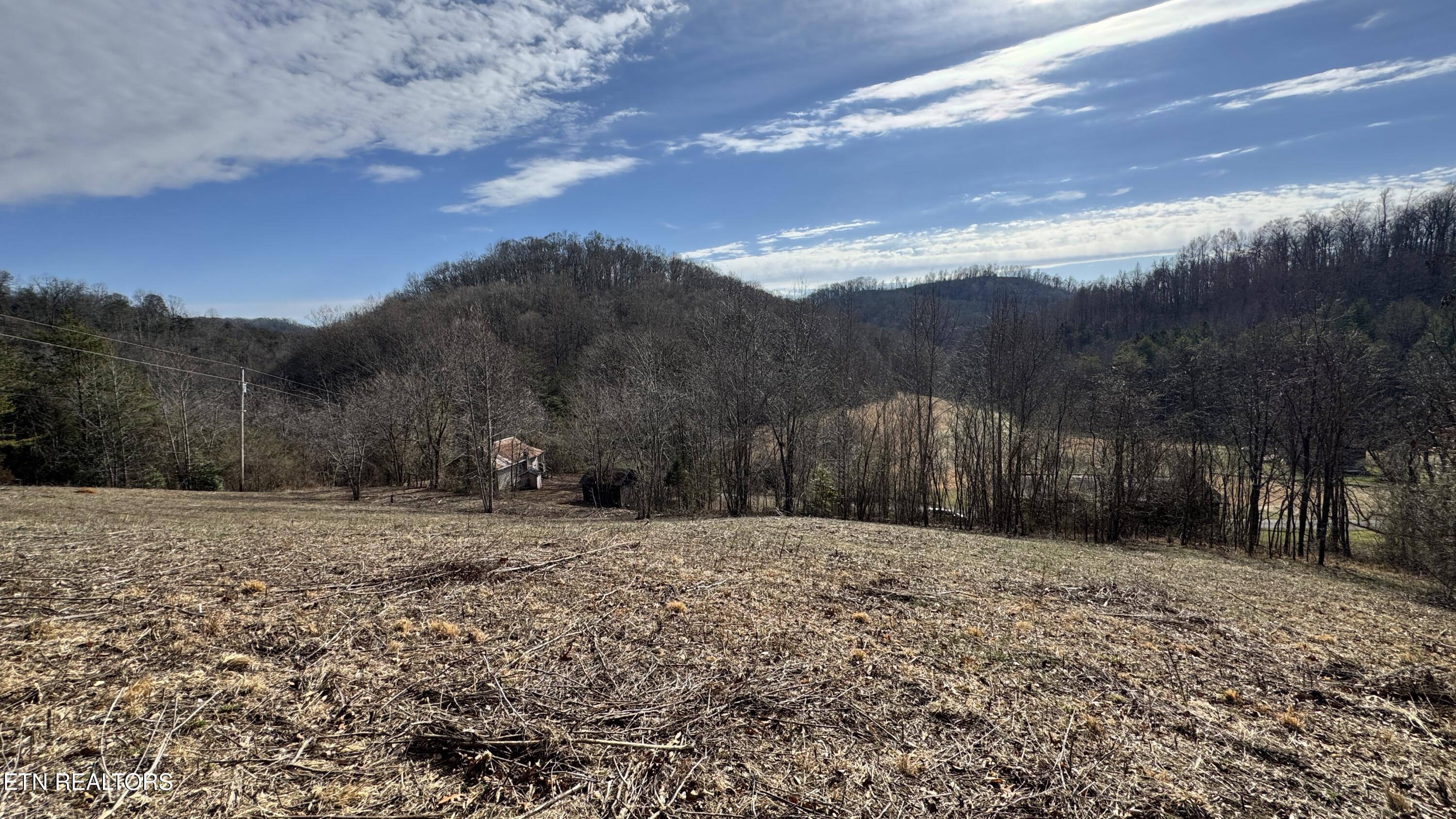 1135 Ned Clark Road Bean Station, TN 37708 - Photo 16 of 29 1135 Ned Clark Rd Bean Station, TN
