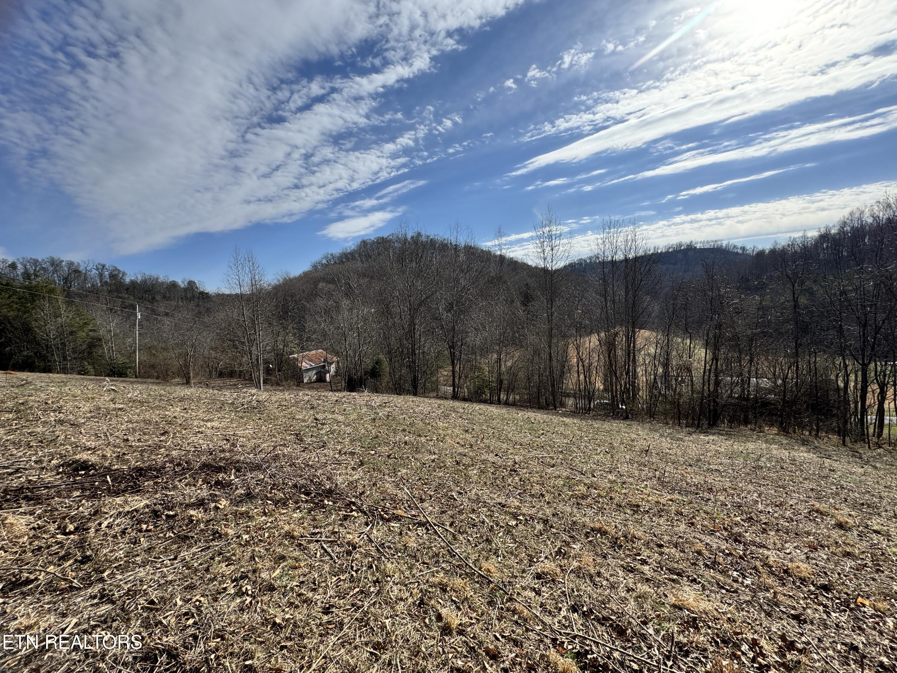 1135 Ned Clark Road Bean Station, TN 37708 - Photo 18 of 29 1135 Ned Clark Rd Bean Station, TN