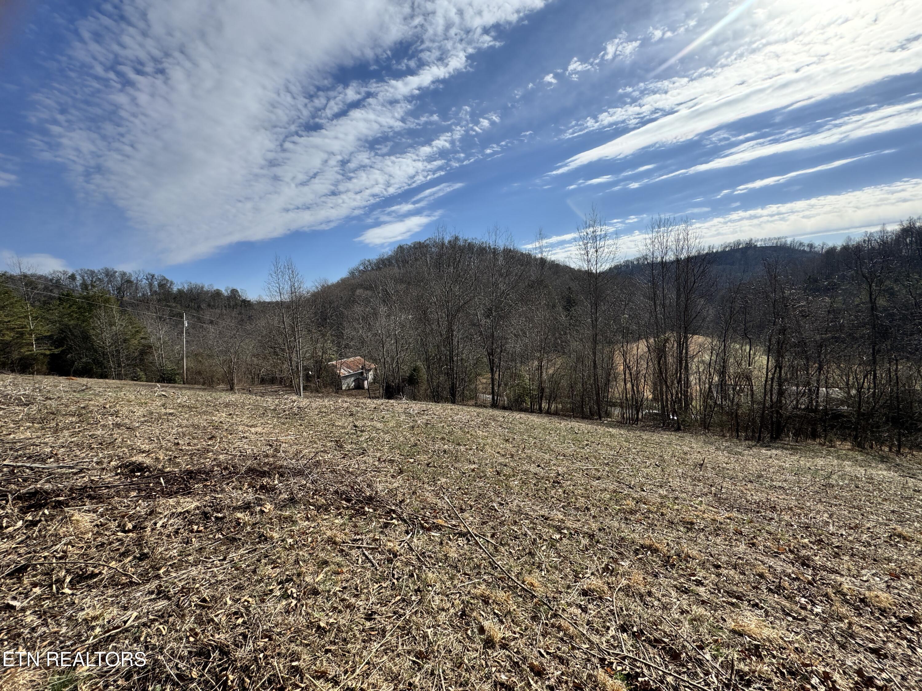 1135 Ned Clark Road Bean Station, TN 37708 - Photo 19 of 29 1135 Ned Clark Rd Bean Station, TN