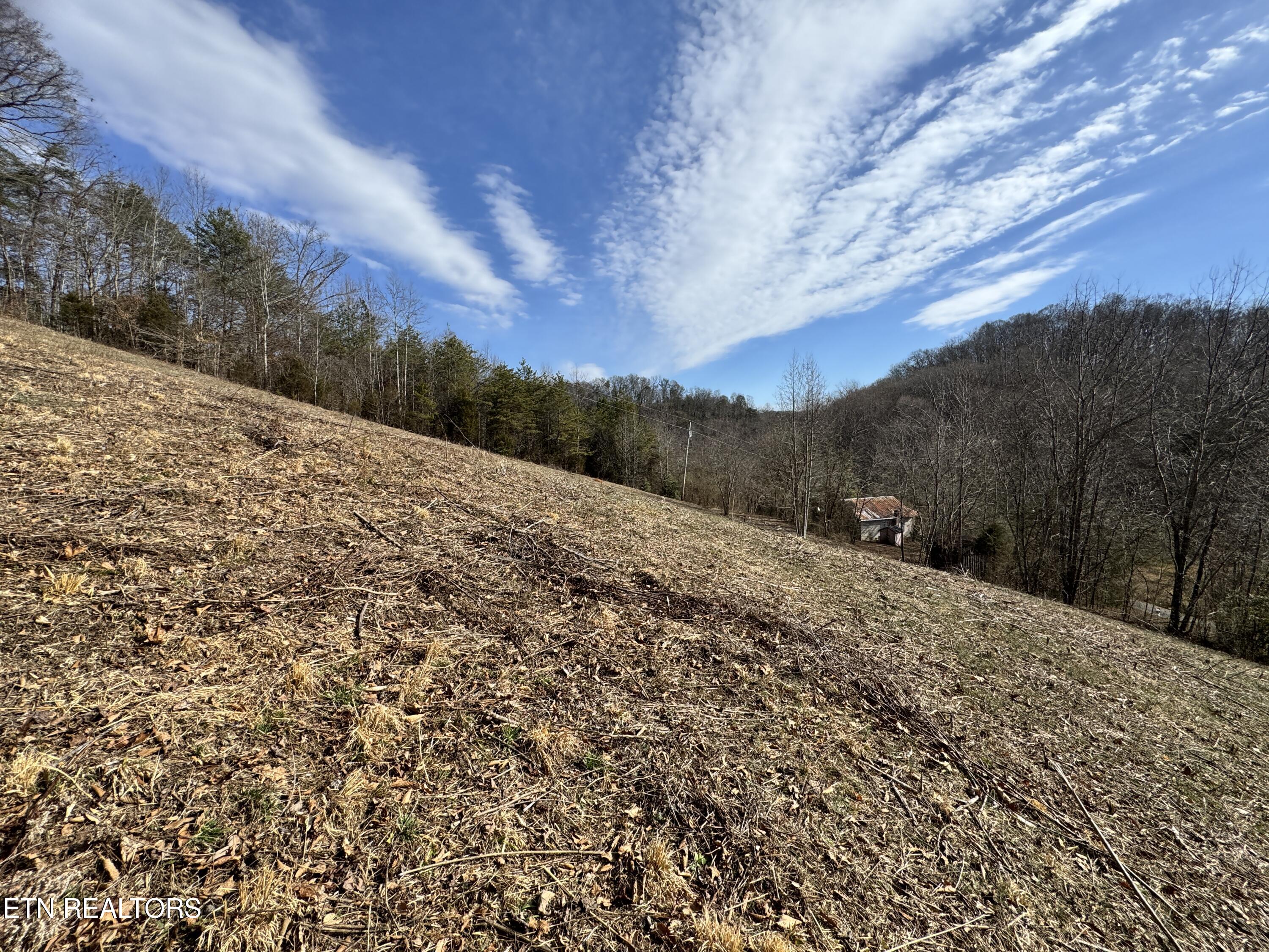1135 Ned Clark Road Bean Station, TN 37708 - Photo 20 of 29 1135 Ned Clark Rd Bean Station, TN
