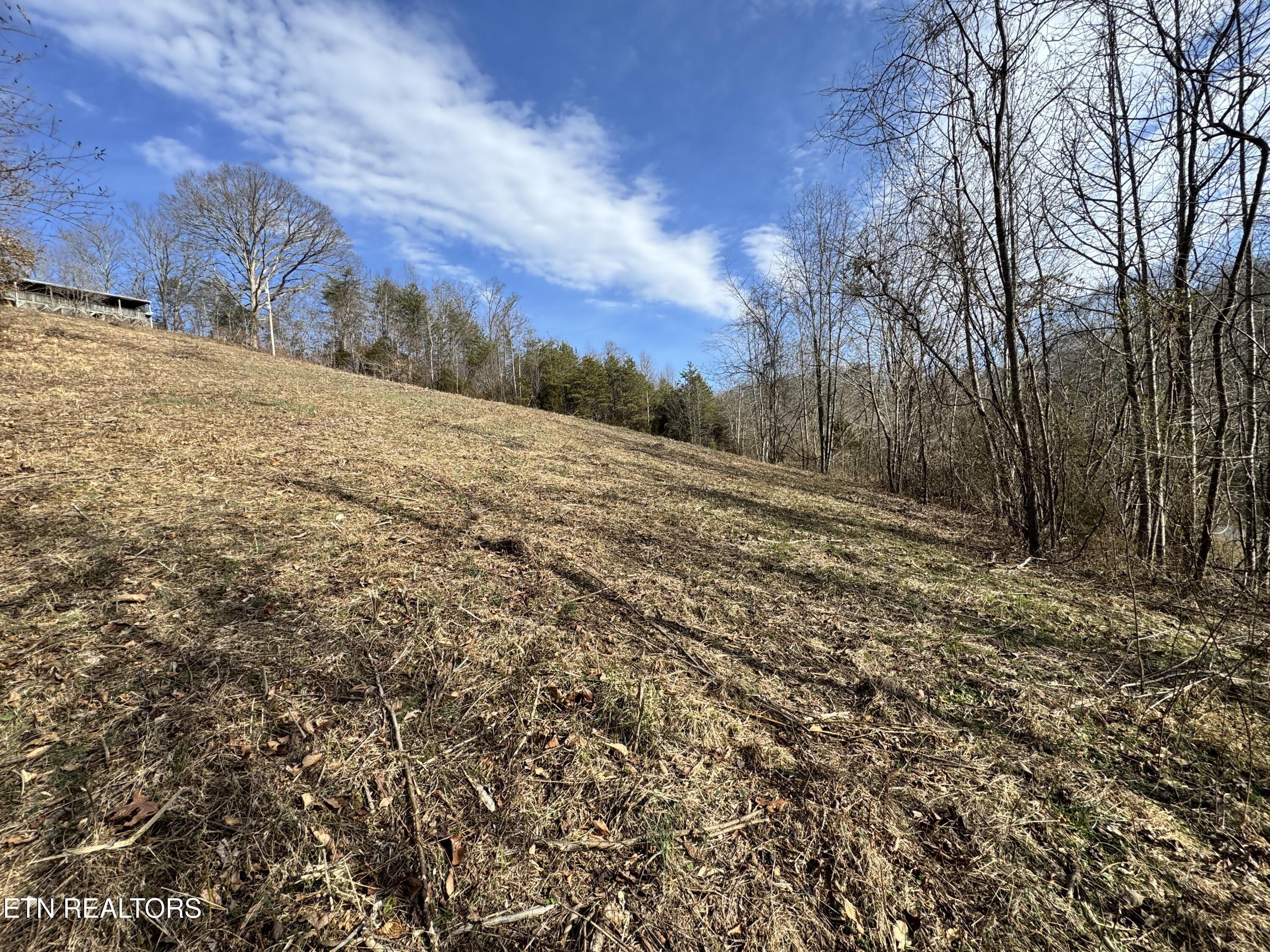 1135 Ned Clark Road Bean Station, TN 37708 - Photo 21 of 29 1135 Ned Clark Rd Bean Station, TN