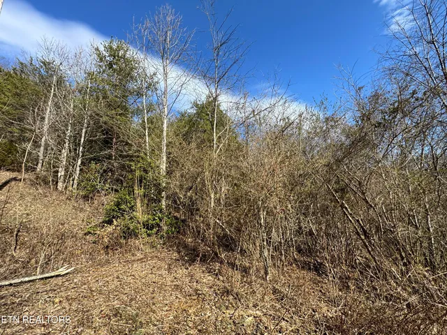 $129,900 | 1135 Ned Clark Road, Bean Station, TN 37708