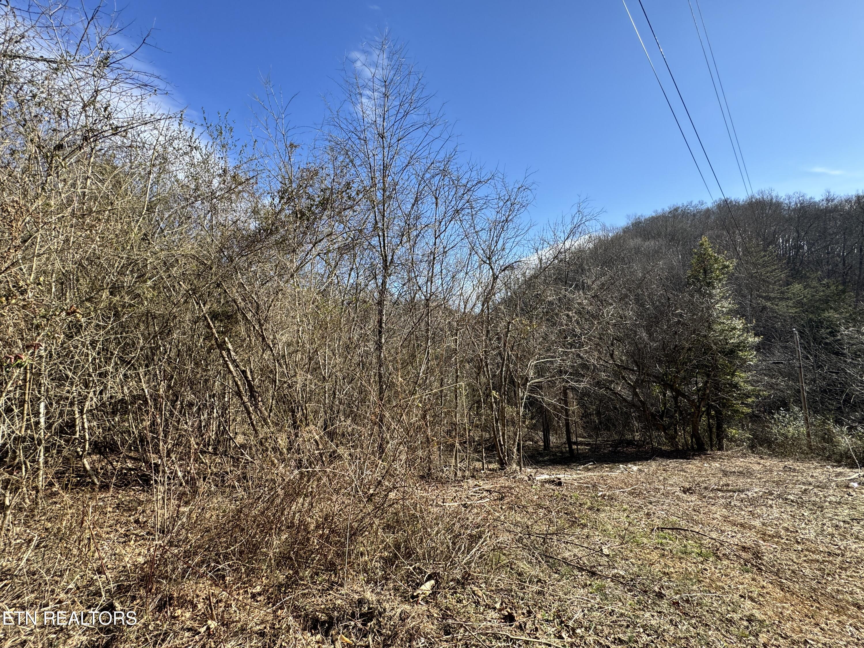 1135 Ned Clark Road Bean Station, TN 37708 - Photo 7 of 29 1135 Ned Clark Rd Bean Station, TN