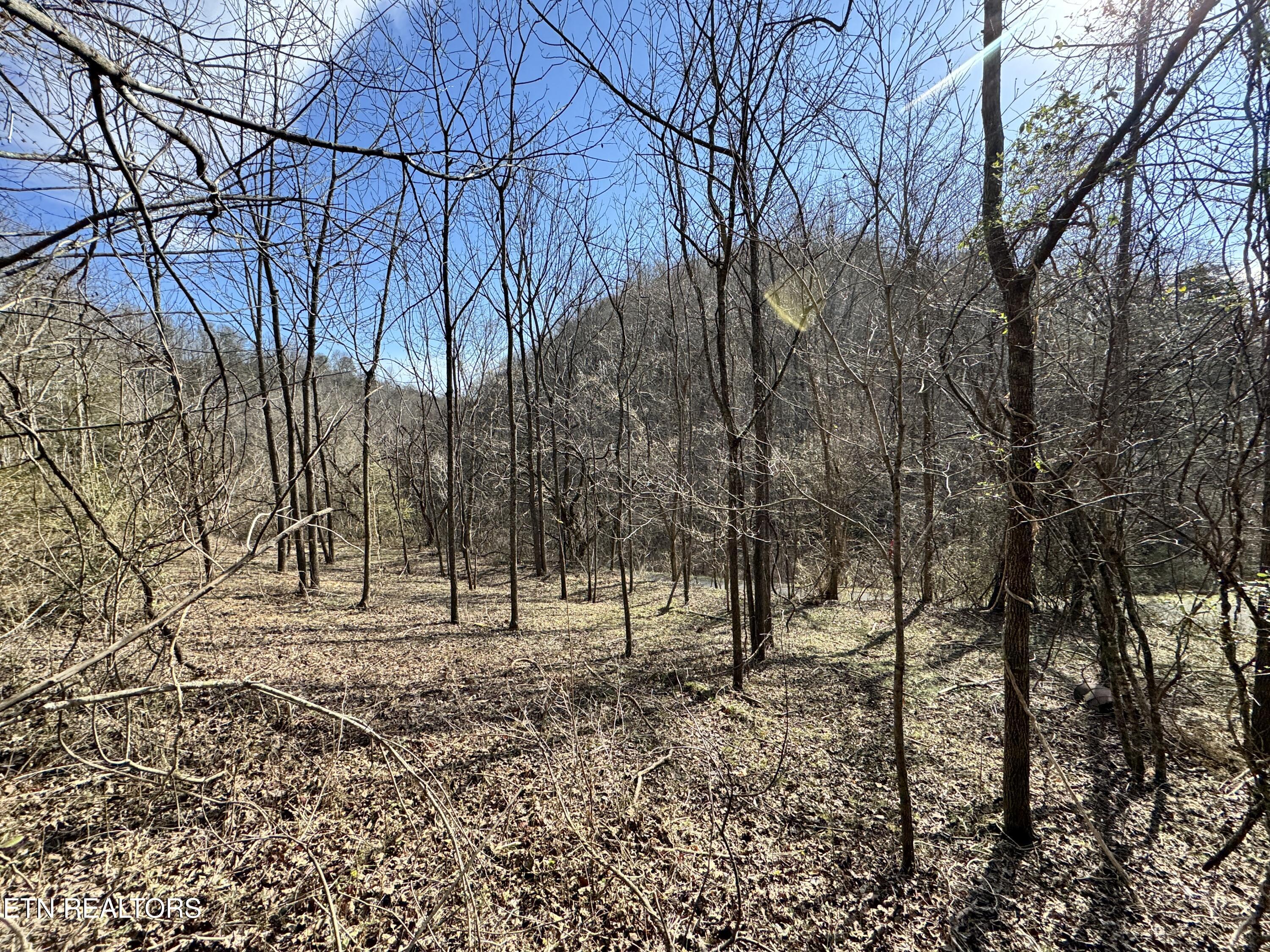 1135 Ned Clark Road Bean Station, TN 37708 - Photo 10 of 29 1135 Ned Clark Rd Bean Station, TN