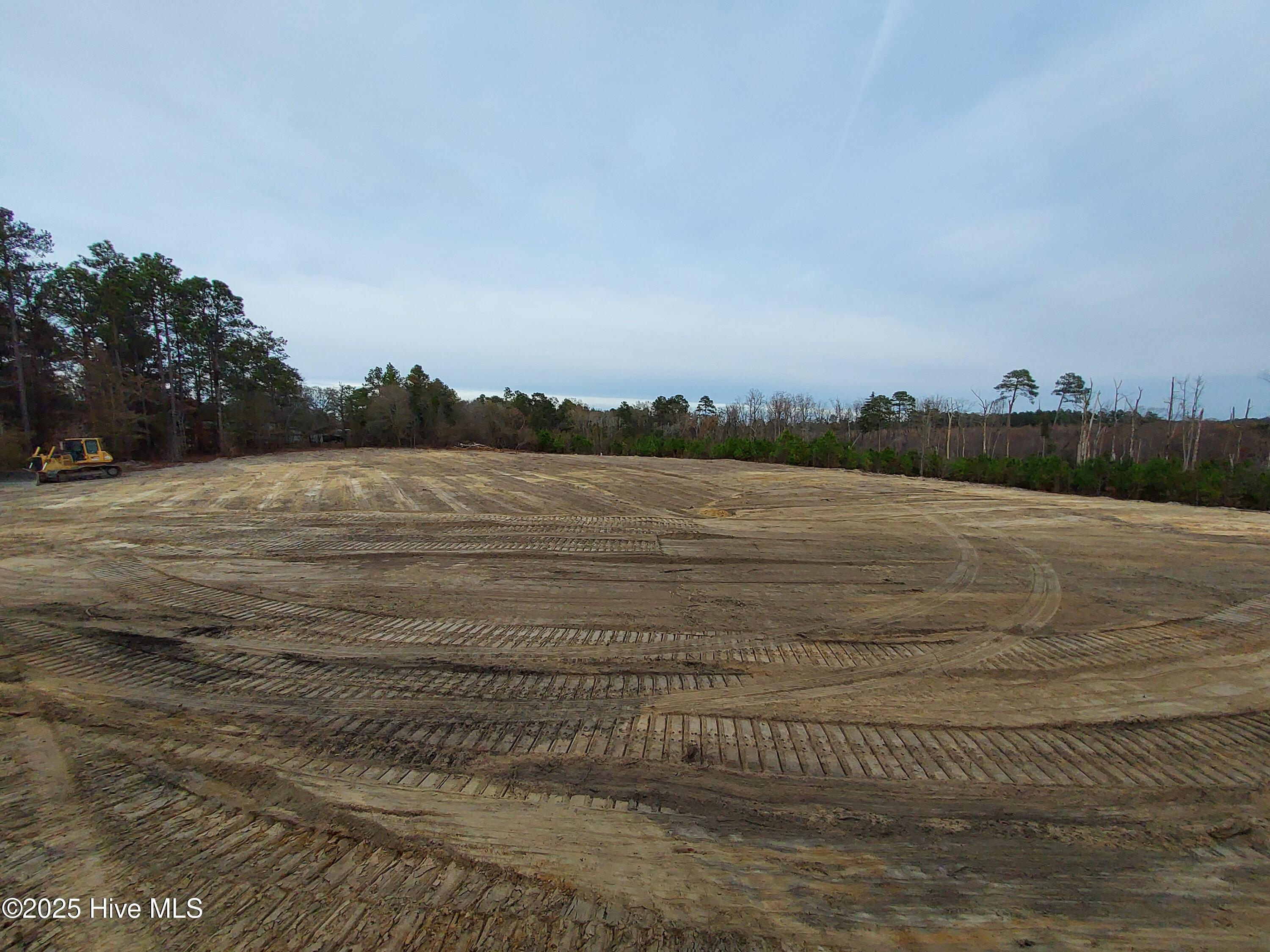 Tbd Palmer Road Marston, NC 28363 - Photo 1 of 10 1000017339