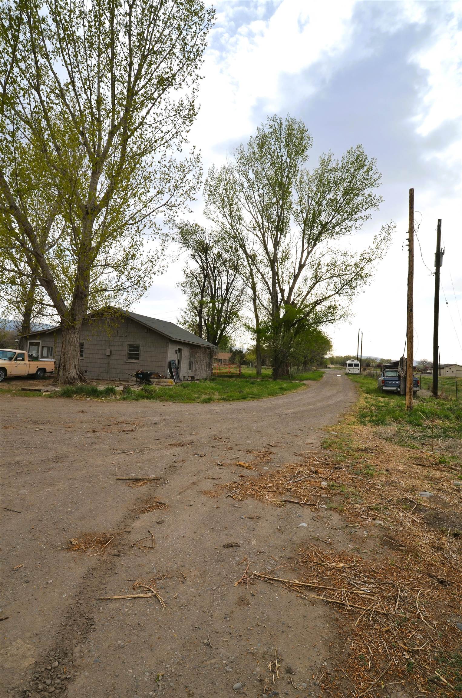 1194-17 17 1/2 Road Fruita, CO 81521 - Photo 8 of 42 a view of dirt field with trees
