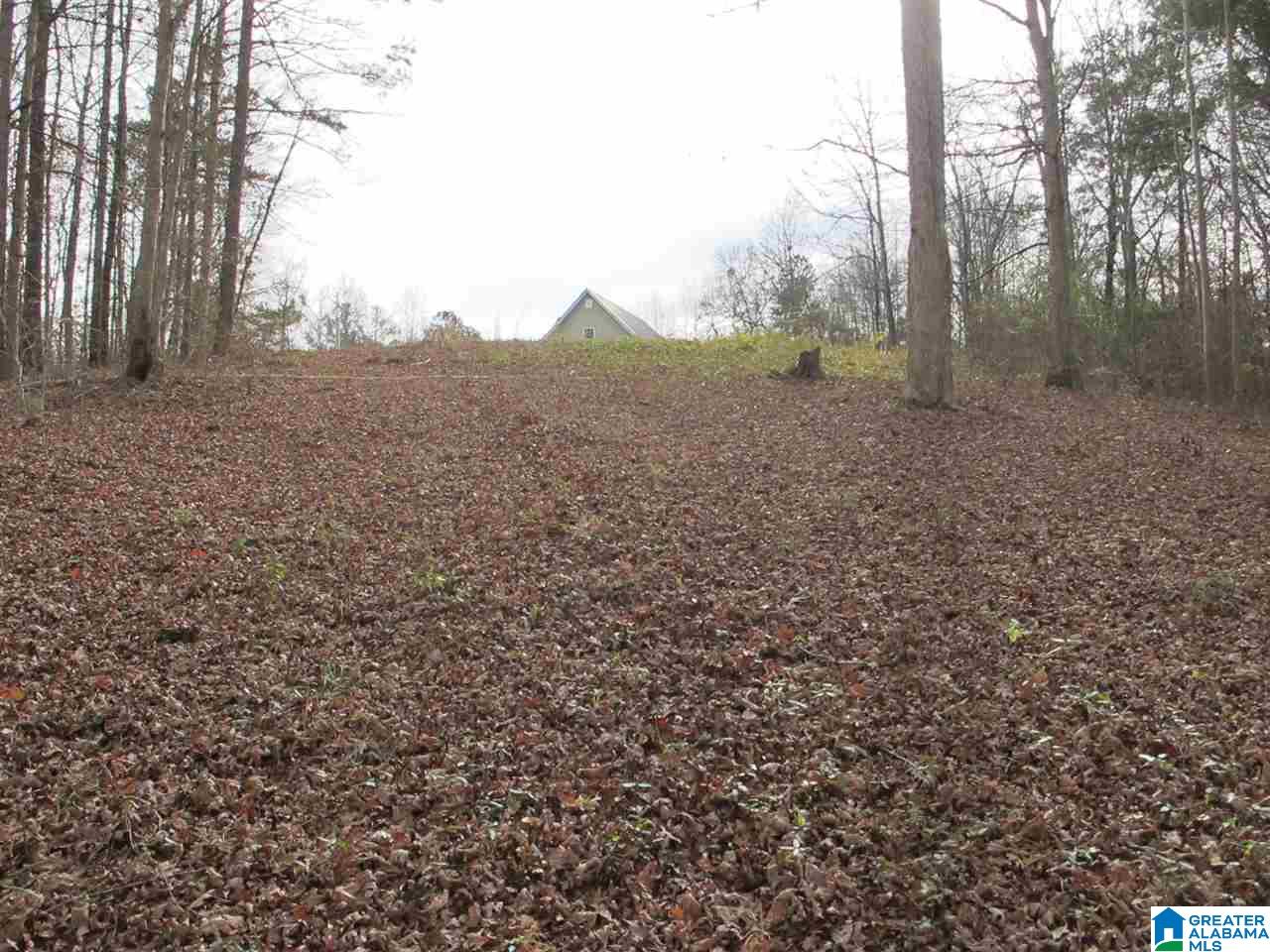 1296 County Road Wedowee, AL 36278 - Photo 8 of 8