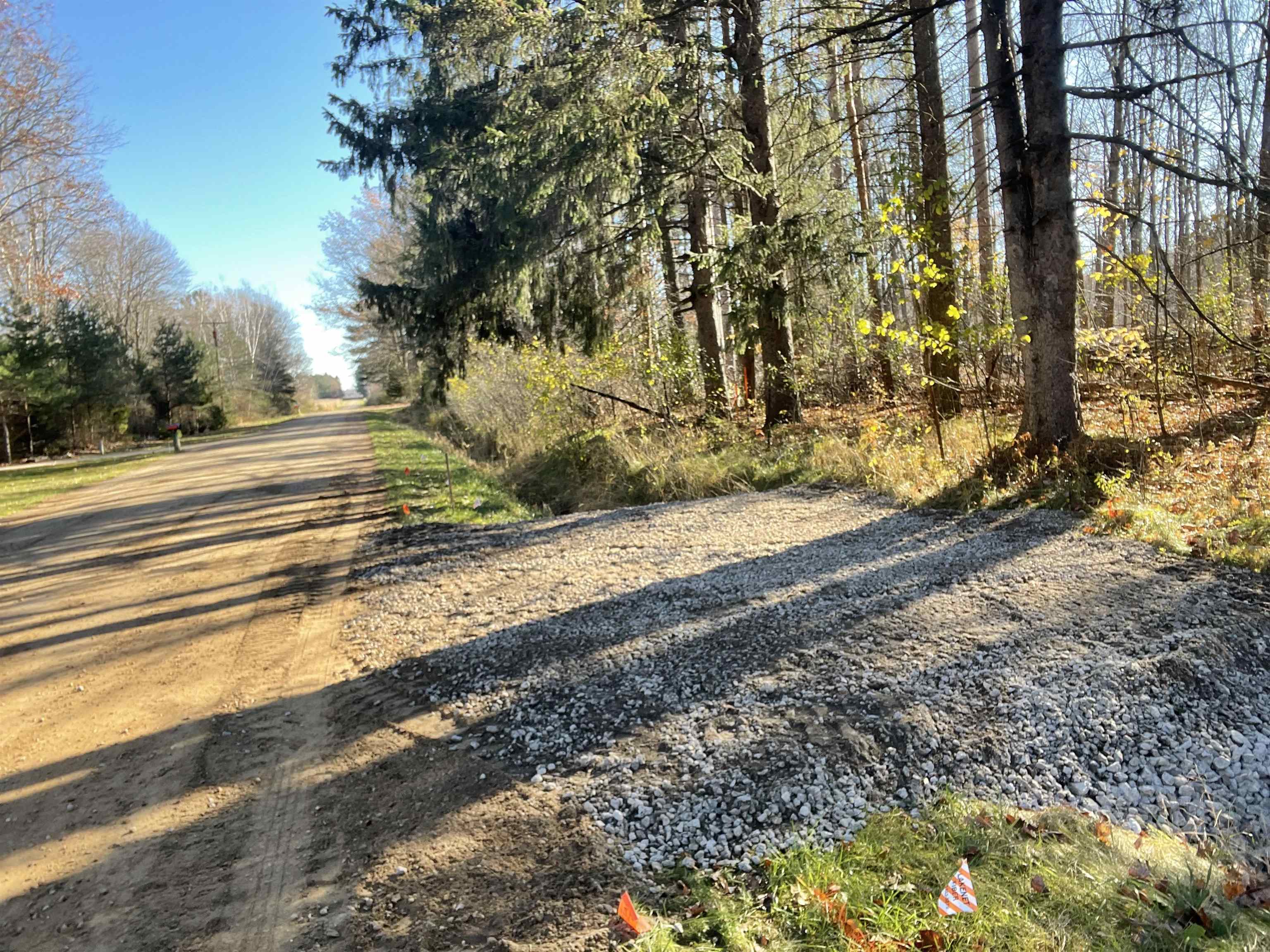 V/l Marion Road Chesaning, MI 48616 - Photo 4 of 16