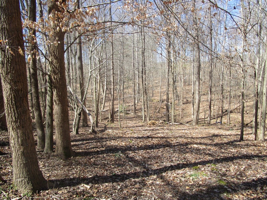 643 New Grove Road Kenbridge, VA 23944 - Photo 5 of 12 Gallery Image 5