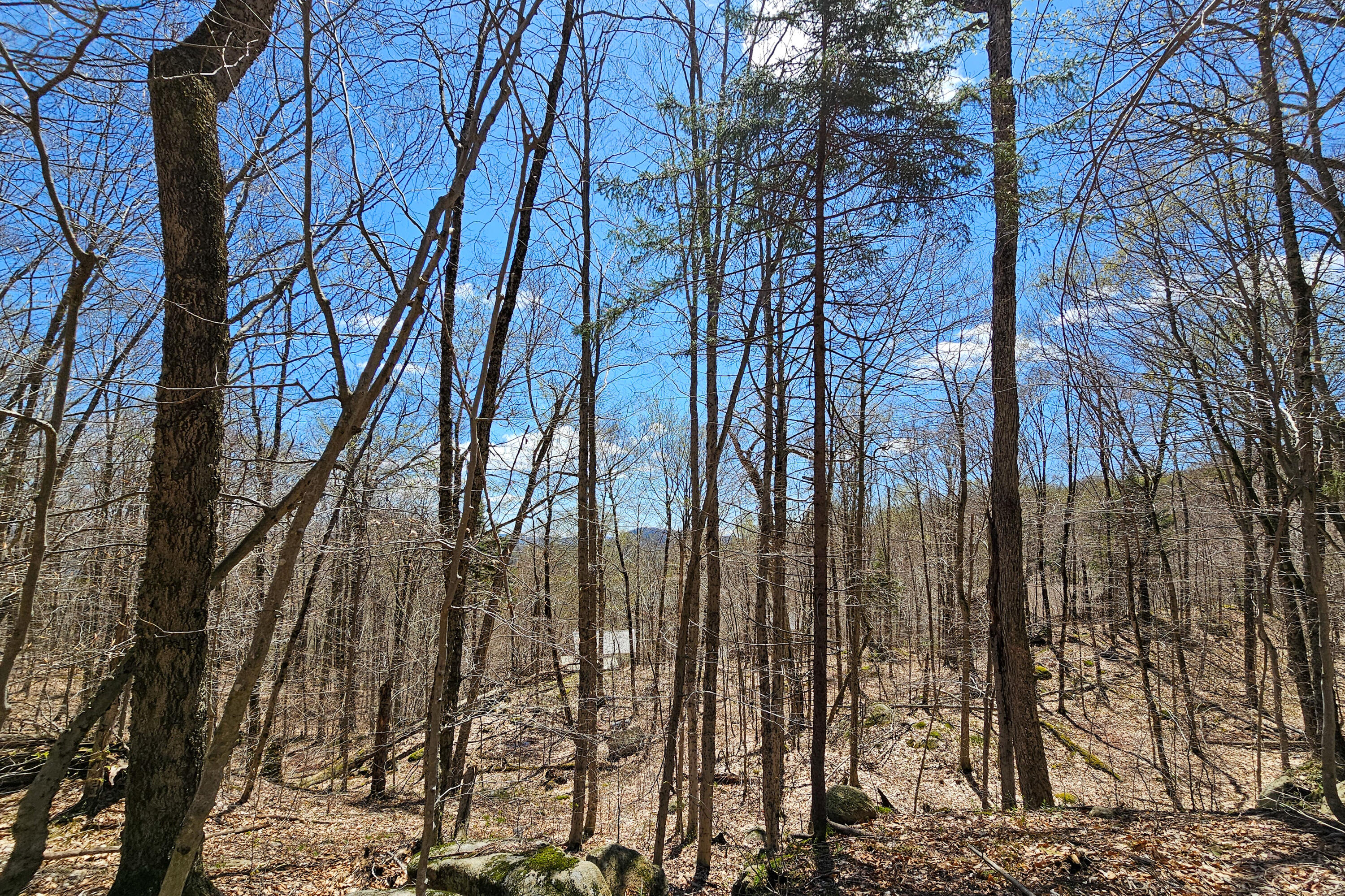 0 Palisades Road West Old Forge, NY 13420 - Photo 4 of 15 End of lot line mountain view.