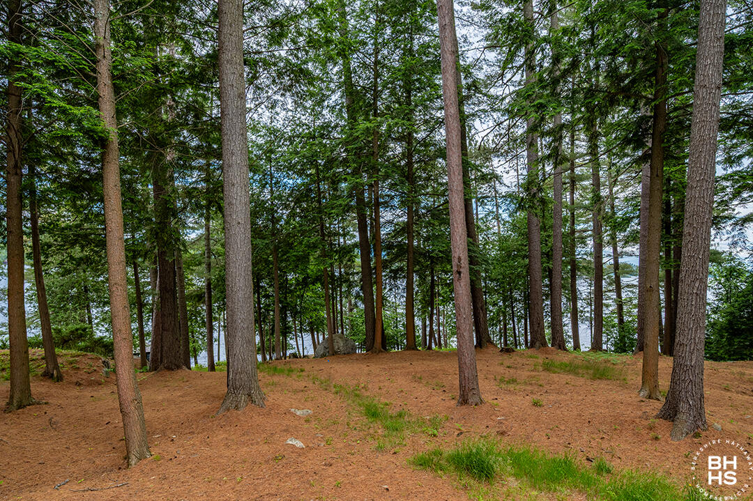 8 Pinehurst Road Saranac Lake, NY 12983 - Photo 61 of 109 HistoricHomeOnLowerSaranacLake_MH_Yard_V