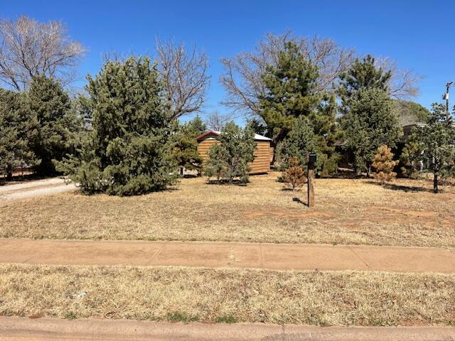2512 40th Street Lubbock, TX 79413 - Photo 24 of 25 IMG_3737