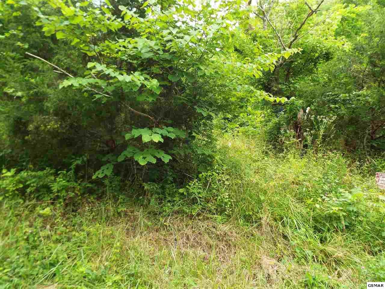 0 Bruner Grove Road Bybee, TN 37713 - Photo 9 of 12 Gallery Image 9