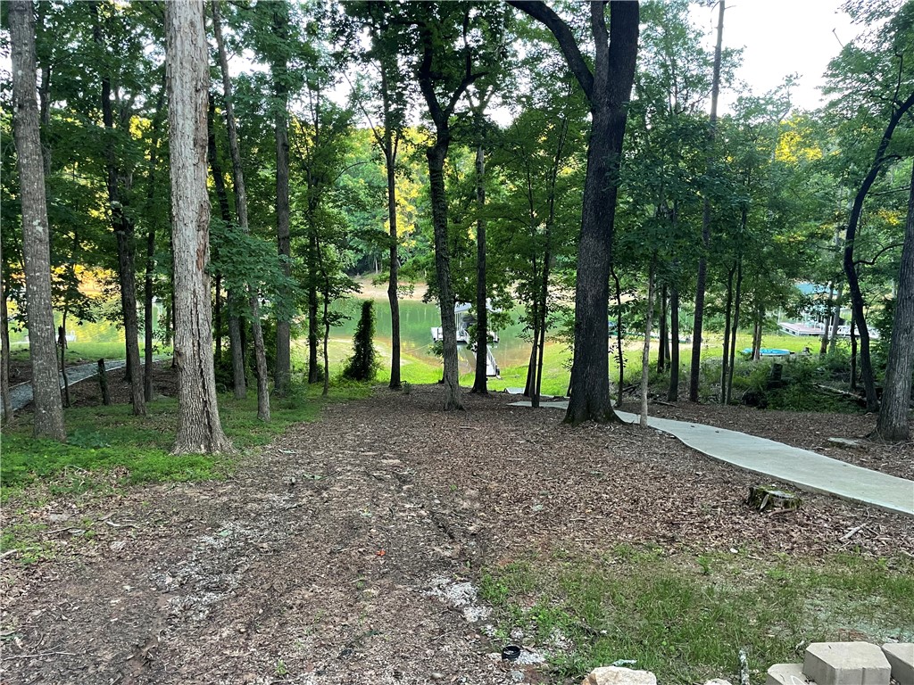 130 Rochester Road Townville, SC 29689 - Photo 13 of 18