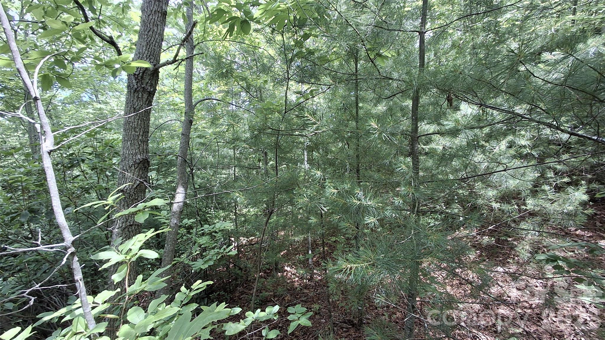 77 Kako Ridge, Unit 57 Sylva, NC 28779 - Photo 14 of 19