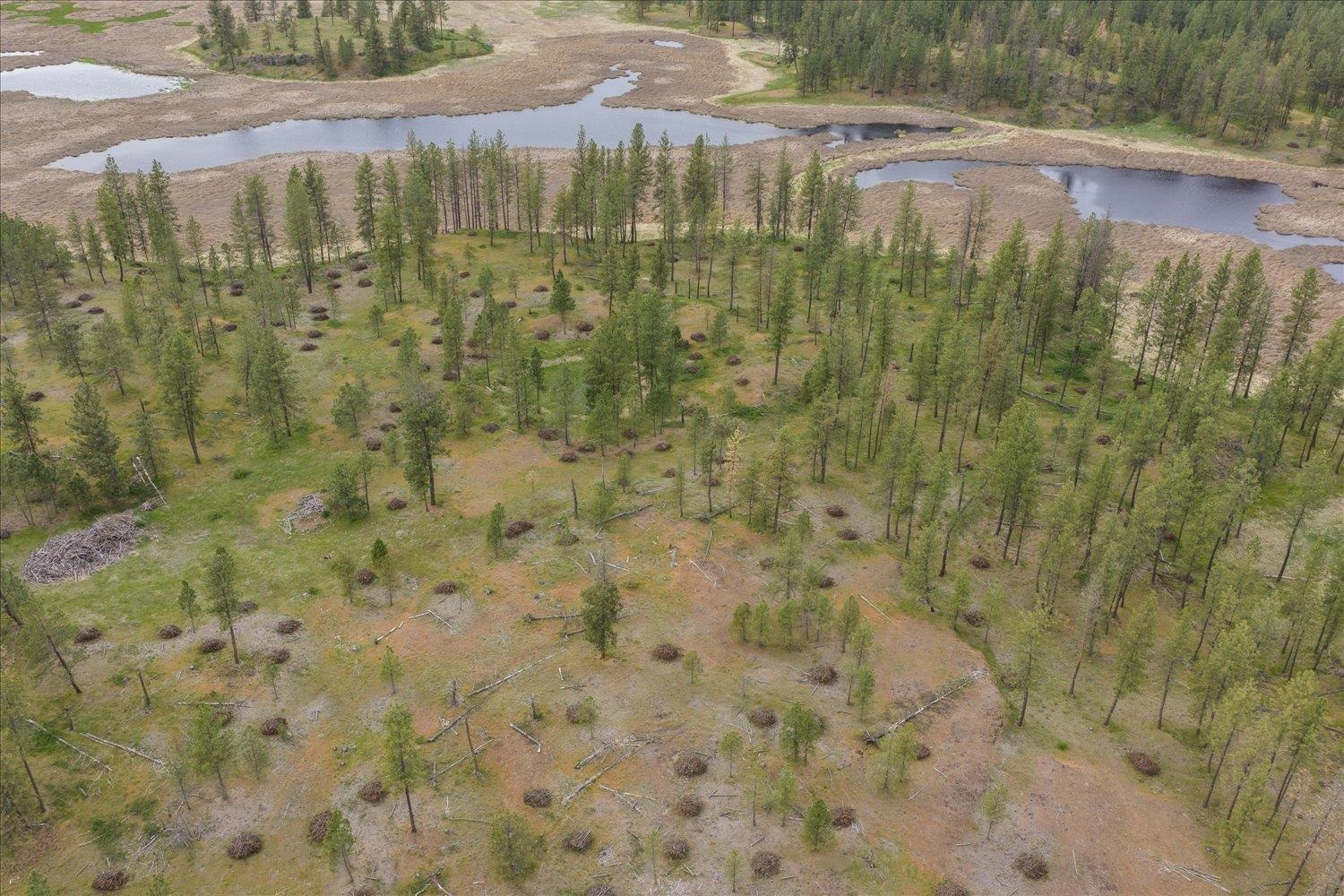 6108 West Depot Springs Road Cheney, WA 99004 - Photo 47 of 50