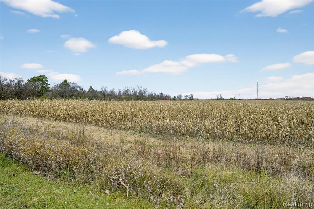 6434 Bristol Road Swartz Creek, MI 48473 - Photo 16 of 29