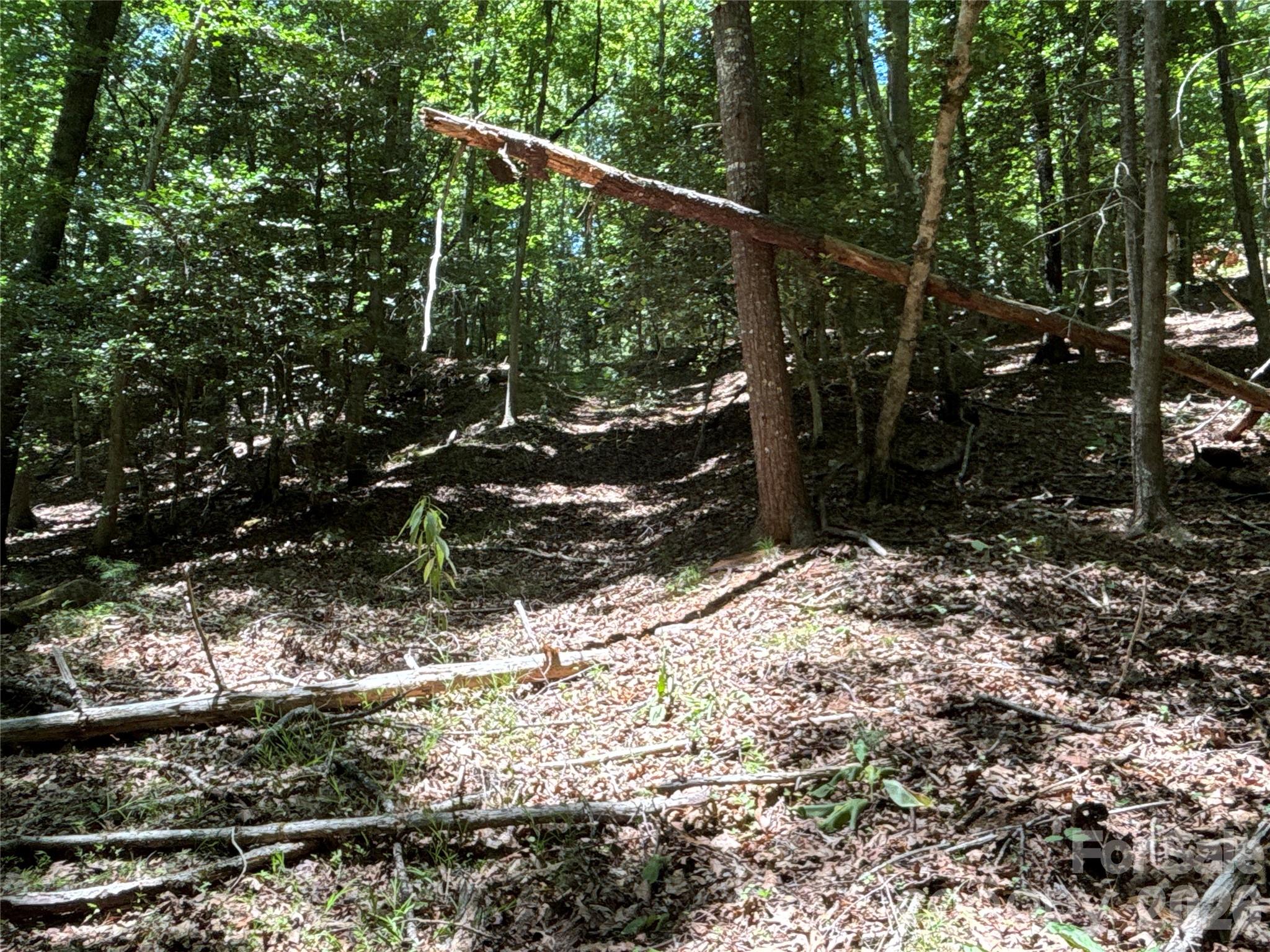 2006 Piedmont Road Morganton, NC 28655 - Photo 11 of 14