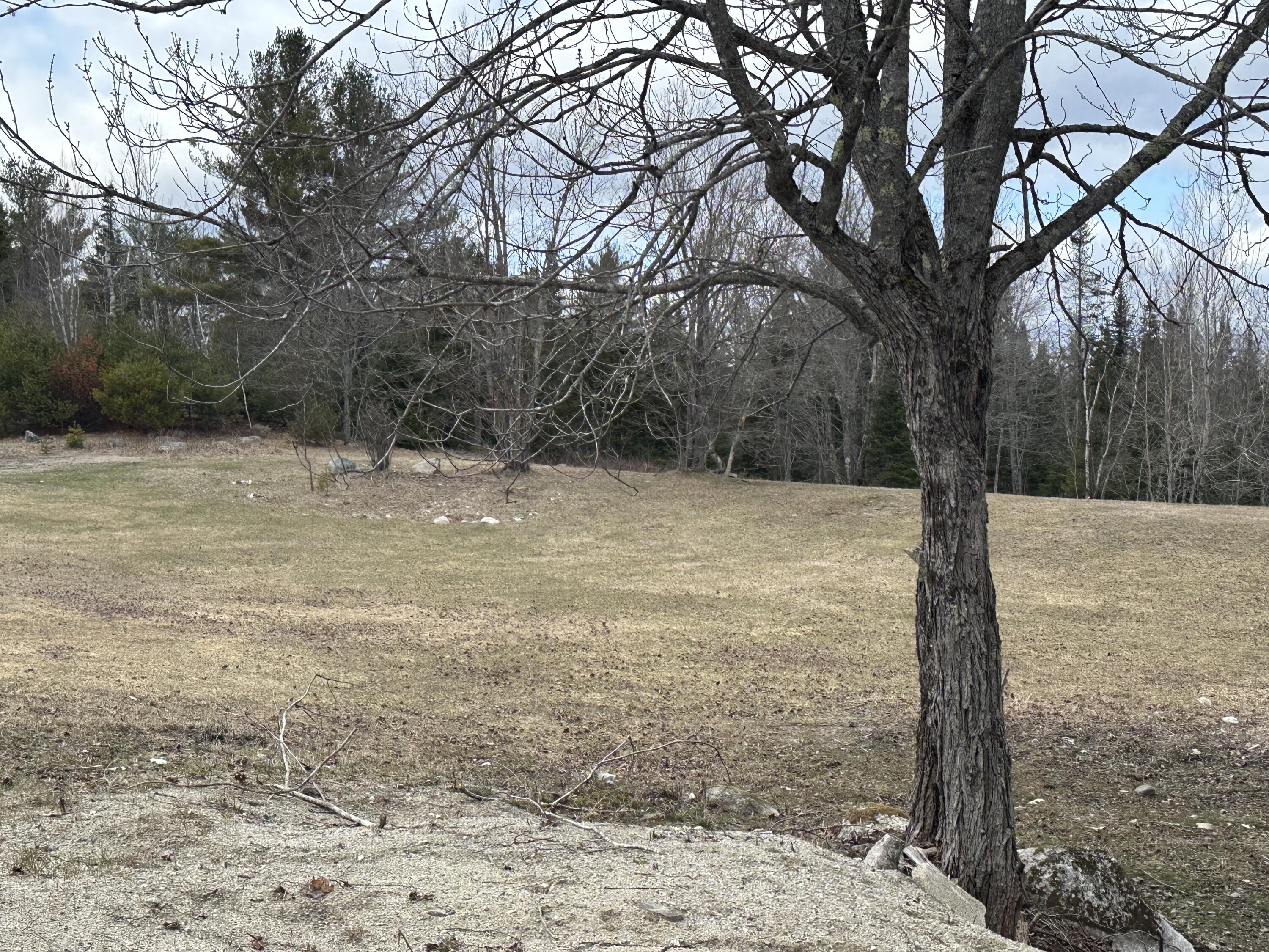 599 Toddy Pond Road Surry, ME 04684 - Photo 28 of 31