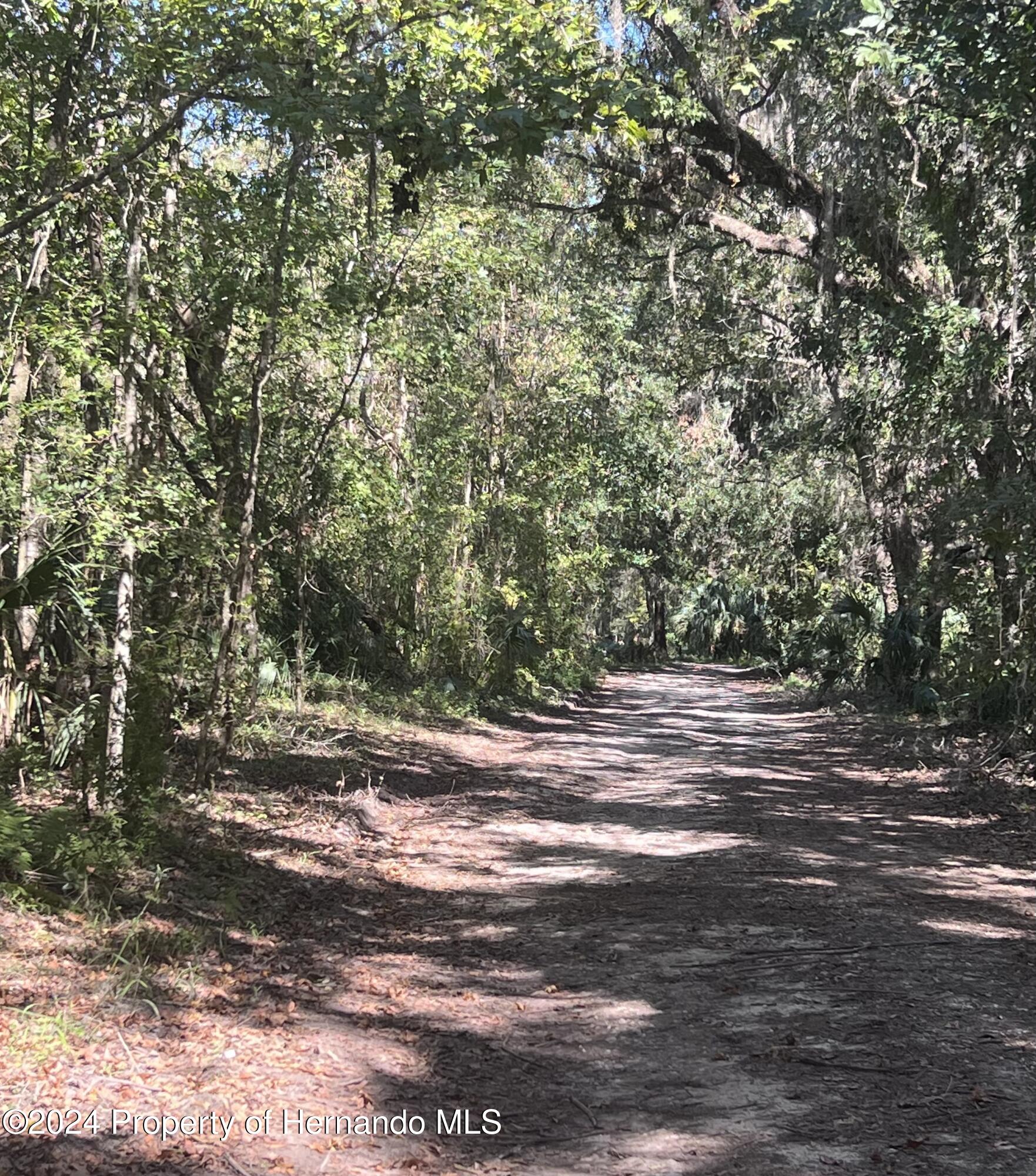 10383 Cheyenne Pass Brooksville, FL 34601 - Photo 1 of 3 a view of a yard with a tree