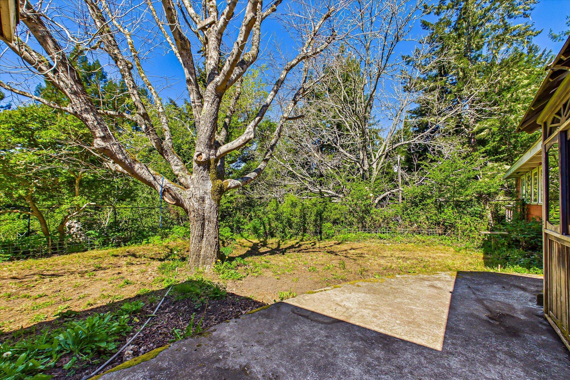 1430 Fox Creek Road Carlotta, CA 95528 - Photo 55 of 76