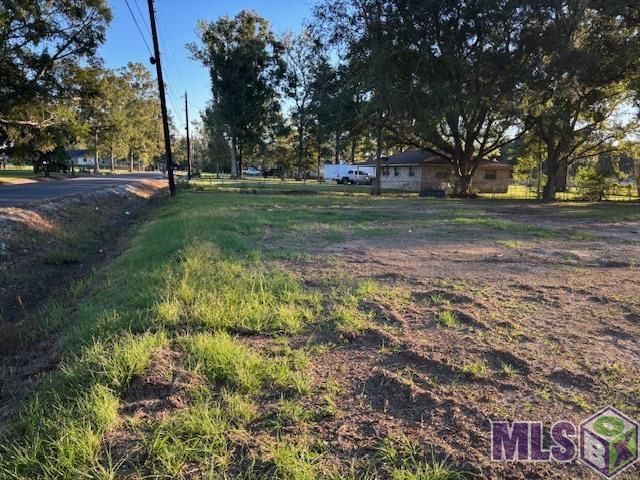 16393 Stewart Road Prairieville, LA 70769 - Photo 2 of 5