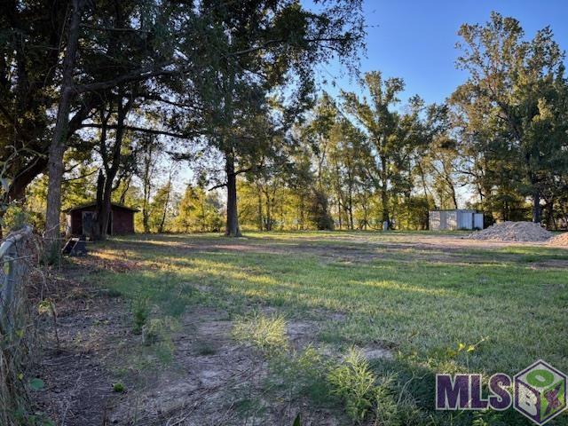 16393 Stewart Road Prairieville, LA 70769 - Photo 3 of 5