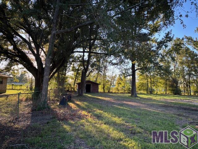 16393 Stewart Road Prairieville, LA 70769 - Photo 4 of 5