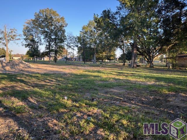 16393 Stewart Road Prairieville, LA 70769 - Photo 5 of 5