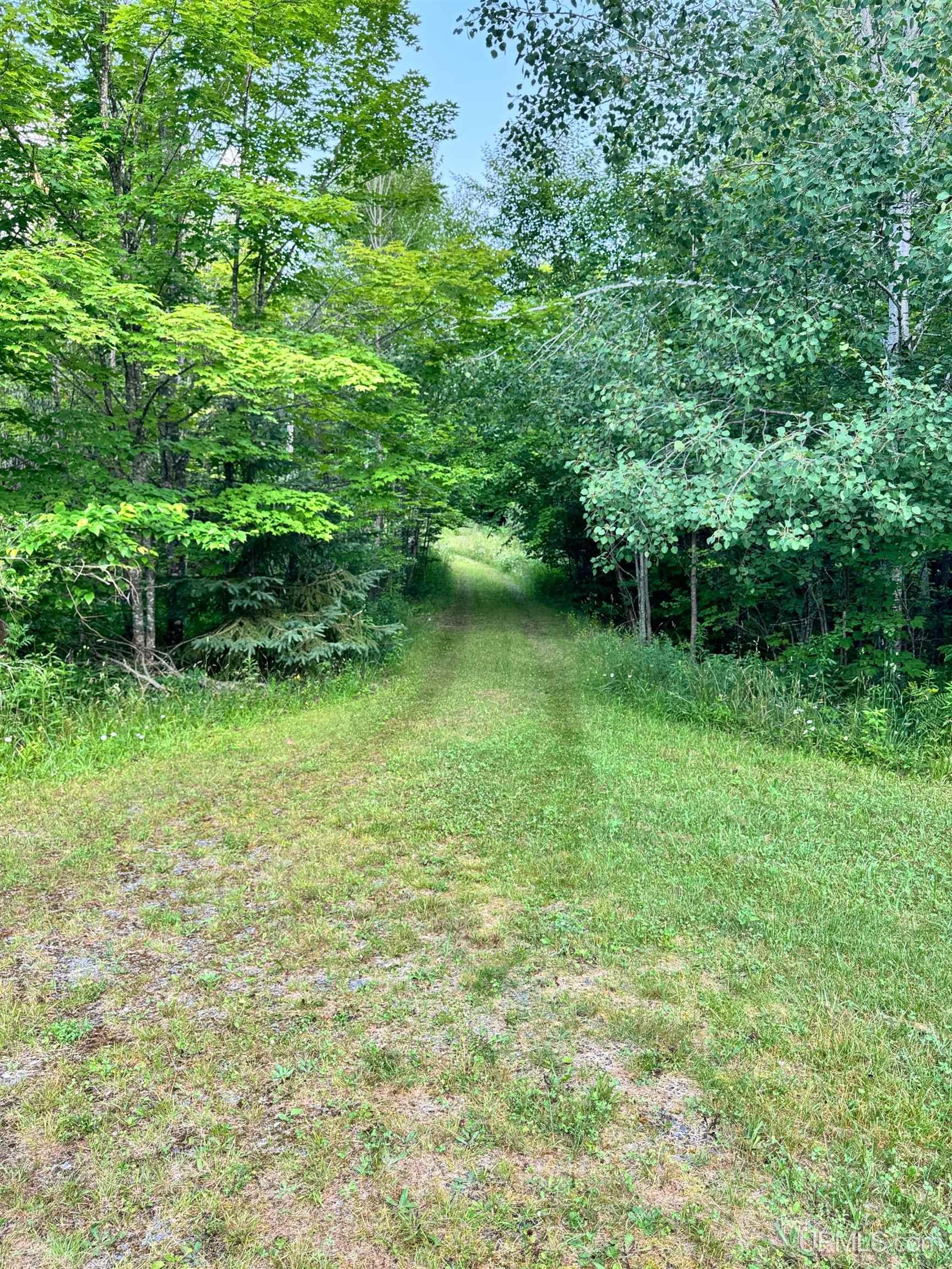24399 Hillside Road Covington, MI 49919 - Photo 1 of 48