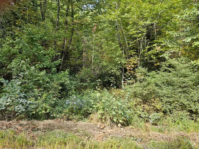$29,900 | Lot 11.2 Mccorrison Road, Dover Foxcroft, ME 04426