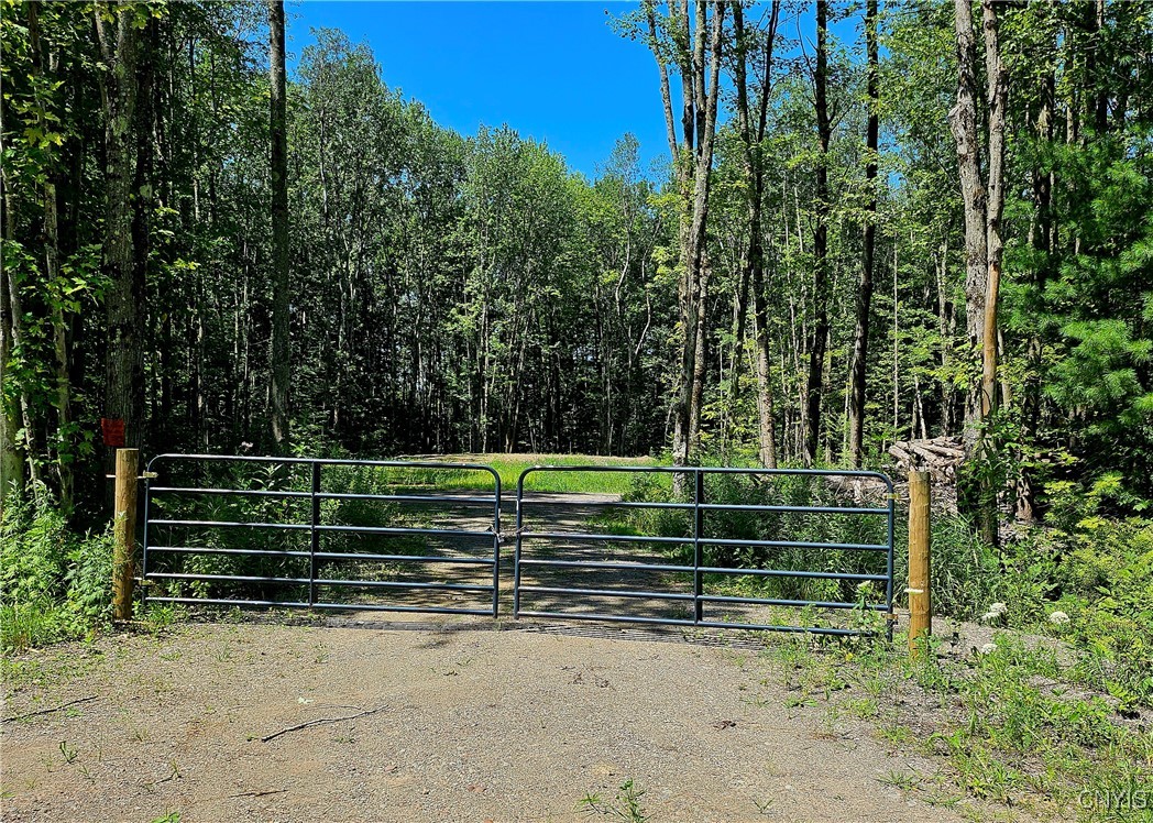 Welcome to Kenyon Rd!