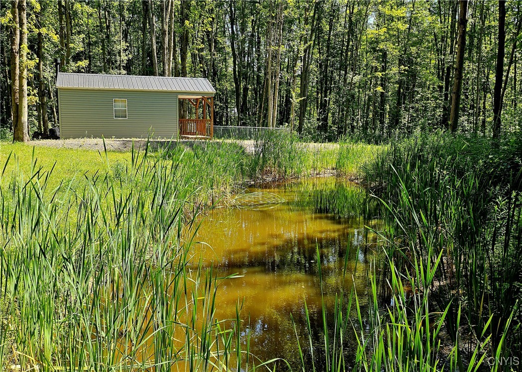 Kenyon Road Mexico, NY 13114 - Photo 12 of 27 View of the pond and cabin with lots of wildlife t