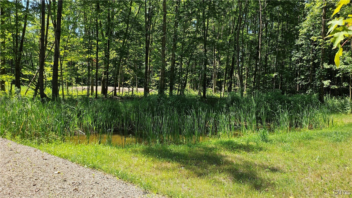 Kenyon Road Mexico, NY 13114 - Photo 13 of 27 The pond next to the cabin; goes to 13' deep at en