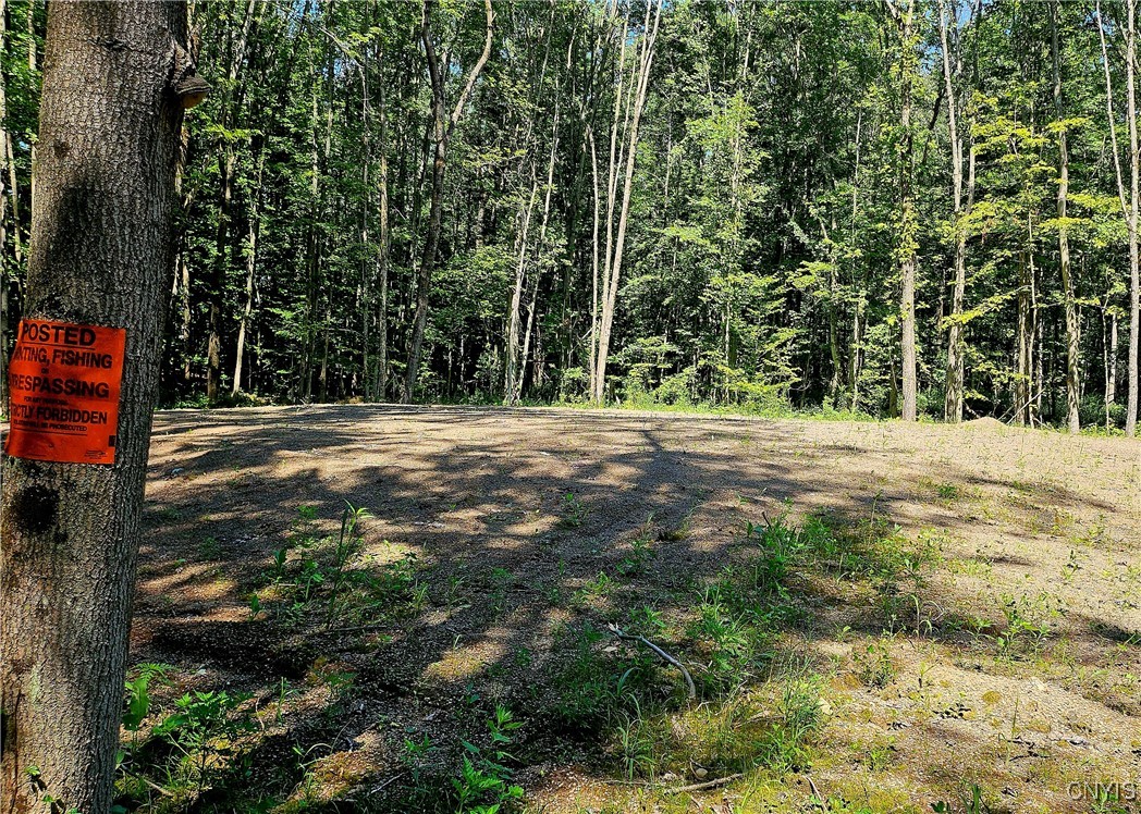 Kenyon Road Mexico, NY 13114 - Photo 18 of 27 Raised bed for future septic system