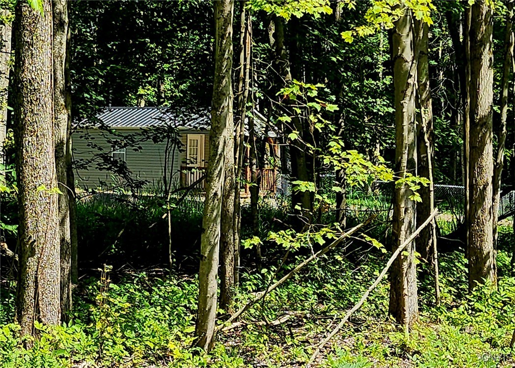 Kenyon Road Mexico, NY 13114 - Photo 19 of 27 View of the cabin through the woods, from the clea