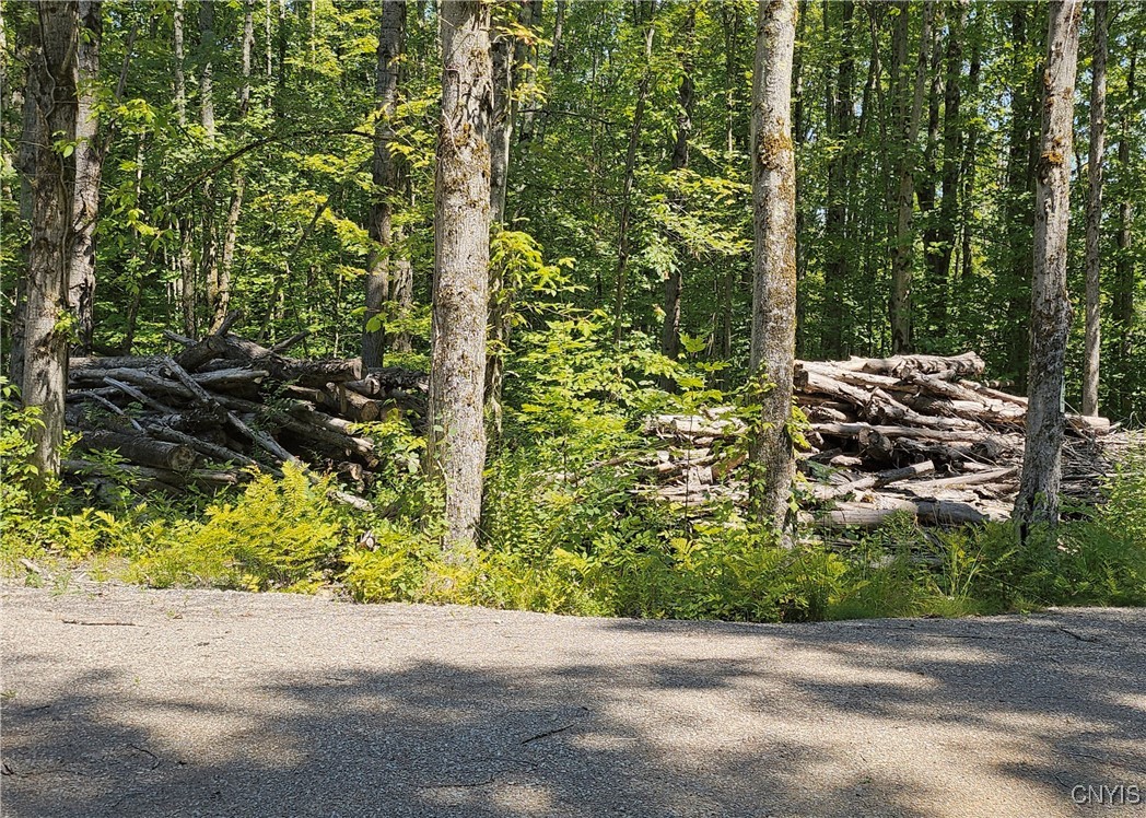 Kenyon Road Mexico, NY 13114 - Photo 20 of 27 Wood and log piles from clearing the yard, ready t