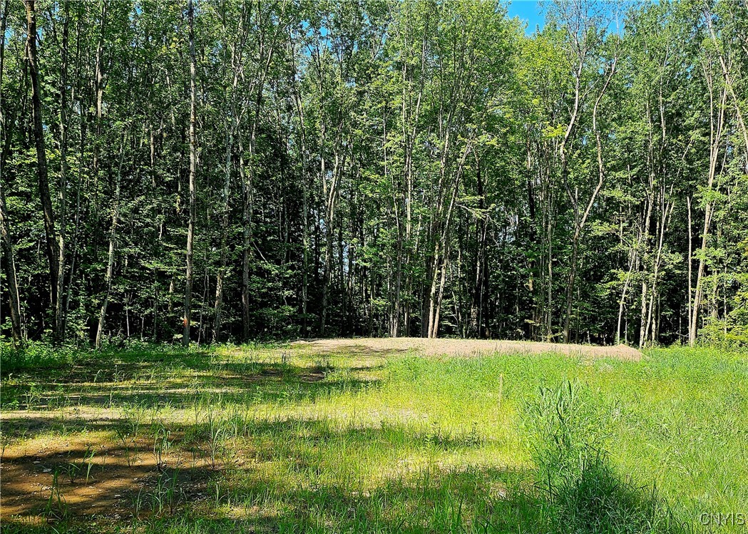 Kenyon Road Mexico, NY 13114 - Photo 2 of 27 Cleared portion with newly added raised bed for fu