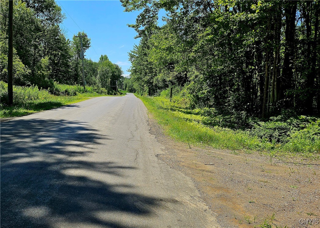Kenyon Road Mexico, NY 13114 - Photo 23 of 27 Kenyon Rd (from Gillette Rd) into the driveway on