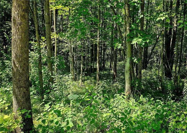 $124,900 | Kenyon Road, Mexico, NY 13114