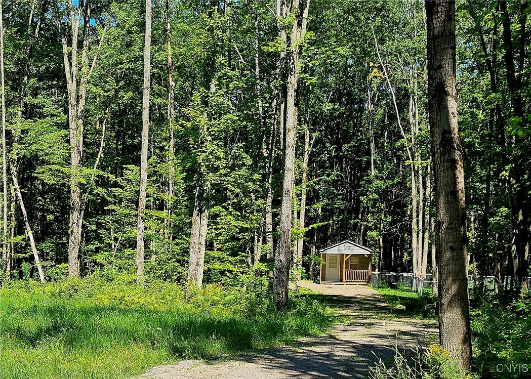 Kenyon Road Mexico, NY 13114 - Photo 4 of 27 Newly added gravel driveway to the 12x24' cabin