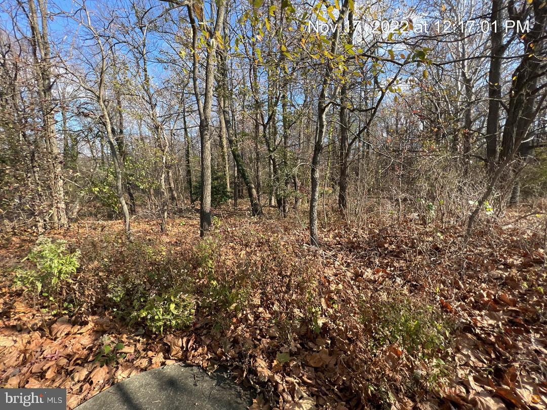 340 Highway 73 Marlton, NJ 08053 - Photo 17 of 17