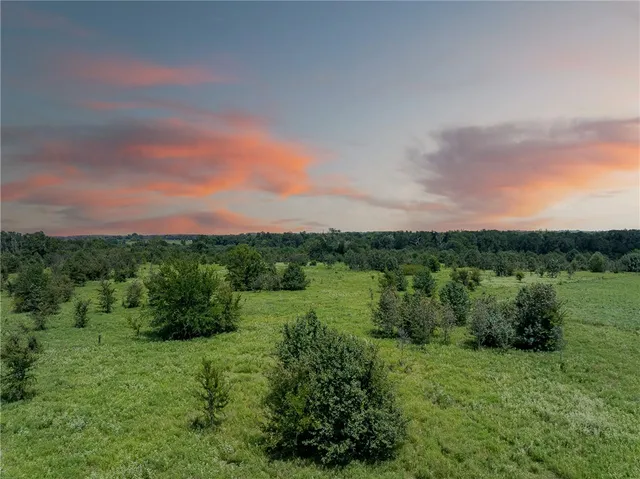 a view of a lush green outdoor space with a lake view